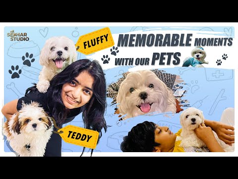 Memorable Moments With Our Pets || Sahithi || Vinni || Sekhar Studio ||