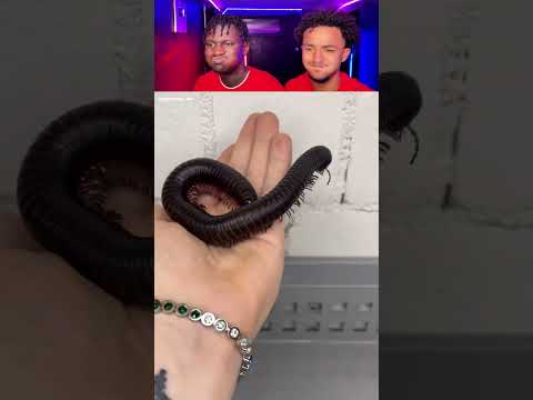 PART 504 | 😂TU RIGOLES😂 , TU RECOMMENCE ...🔄 LA FIN ...😲💦#funny #reaction #trynottolaugh