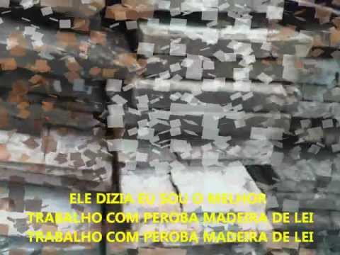 Zé Peroba video
