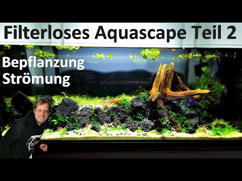 FILTERLOSES AQUASCAPE Teil 2 - Bepflanzung und Wasserbewegung