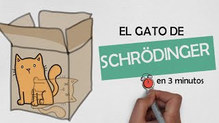 Video de Remera Alternative - Logo El Gato De Schrodinger Se Busca