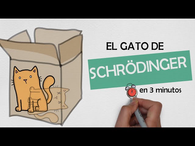 Vídeo relacionado con Teoría De Cuerdas Ciencia Nerd Física Gato De Schrödinger Sudadera con Capucha