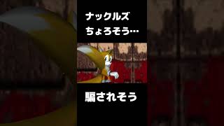 ちょろかわいい、ナックルズの取扱者説明書【ソニックアドベンチャー2】#ソニックアドベンチャー2 #sonicadventure2  SONIC ADVENTURE 2