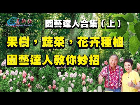 【園藝達人合集（上）】果樹，蔬菜，肥料，花卉種植技術