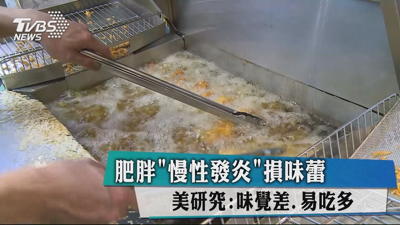 肥胖「慢性發炎」損味蕾 美研究:味覺差、易吃多