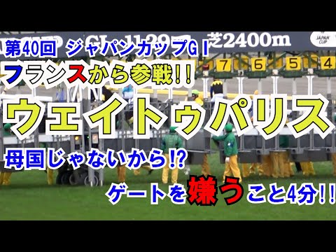 [Horse Racing] 2020 40th Japan Cup G1 Gate Entry - Local Footage - Almond Eye