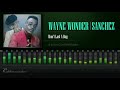 Wayne Wonder & Sanchez - Won't Last A Day (A Love I Can Feel Riddim) [HD]