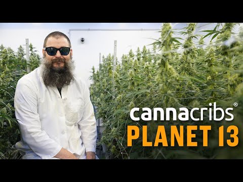 Largest Cannabis Dispensary in World: Planet 13, Las Vegas