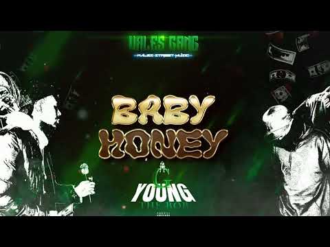 THE BOB - BABY HONEY (VISUALIZER 4K) #SPANISHDRILL