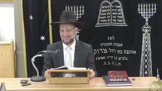 הלכות הרמב''ם חלק ד' | הגאון הרב יחזקאל צמח שליט"א