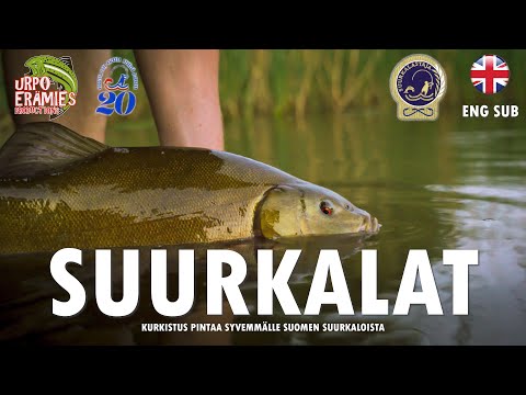 SUURKALAT -Dokumentti | Urpoerämies
