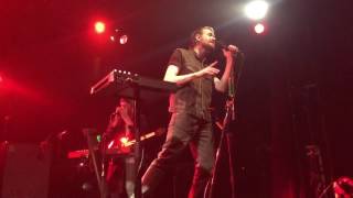 Wild Beasts ~ Big Cat