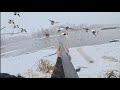 Duck Hunting SNOWY FROZEN RIVER MALLARD LIMIT