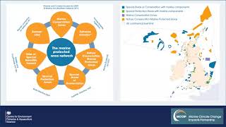 Implications of climate change for managing coastal and marine protected habitats and species