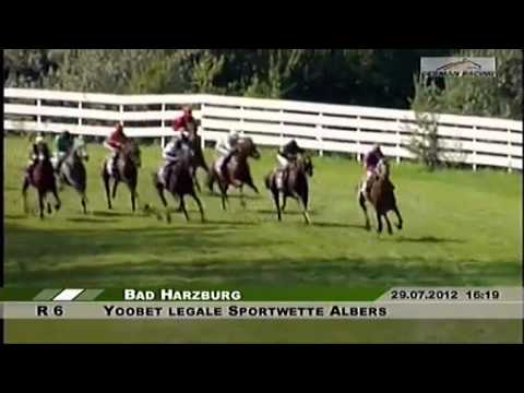 RaceBets com   Die Pferdewette im Internet   Pferdewetten Online