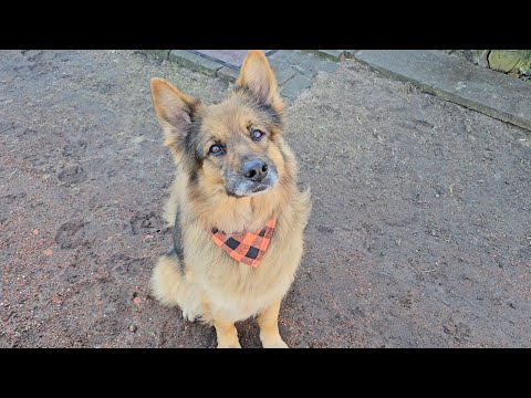 KOKOLINKA'S FIRST CHILD HAS BEEN BORN! - Ares will have his hands full