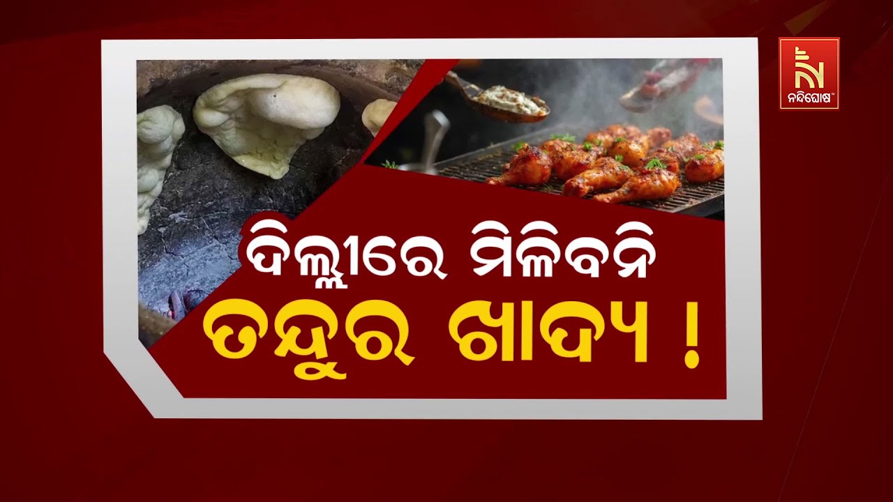 ଦିଲ୍ଲୀରେ ମିଳିବନି ତନ୍ଦୁର ଖାଦ୍ୟ ! | No More Tandoori Food in Delhi | Big Update | NTv