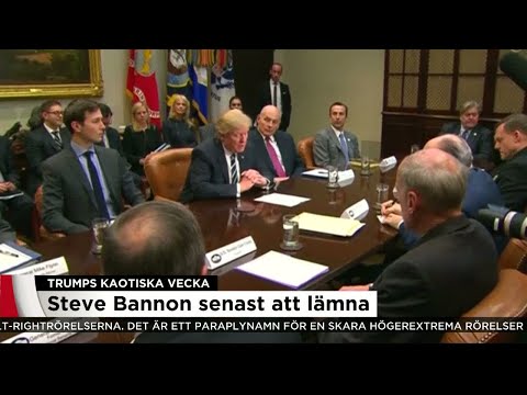 Trumps kaotiska vecka - Steve Bannon senast att lämna - Nyheterna (TV4)