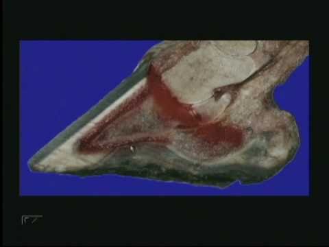 Slide 5 - Styrofoam Pad Set of 4 Medium  (video)