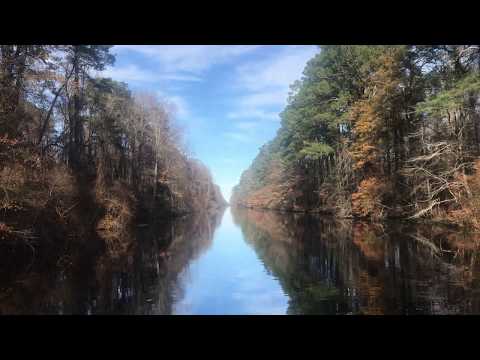 The Great Dismal Swamp Canal: Part II