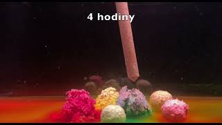 Stég Soluble boilie Oliheň/Chobotnice 1 kg 24 mm