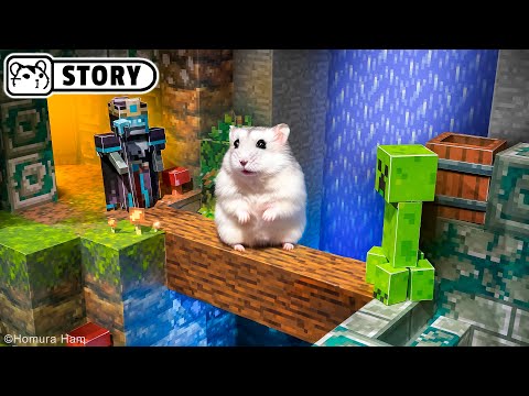 Homura Ham's Hamsters in the Minecraft Dungeons - Soggy Swamp
