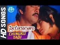 Chinuku Tadi Video Song Priyaragalu Movie Soundarya Jagapati Babu MM Keeravani