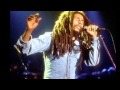 Bob Marley & The Wailers  Three Little Birds
