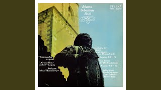 Gleichwie der Regen und Schnee vom Himmel fällt, BWV 18: No. 4, &quot;Mein Seelenschatz ist Gottes...