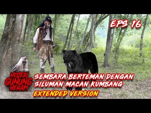 Wuihhh Hebat! Akhirnya Sembara dan Macan Kumbang Ini Berteman Part 2  - Misteri Gunung Merapi Eps 16
