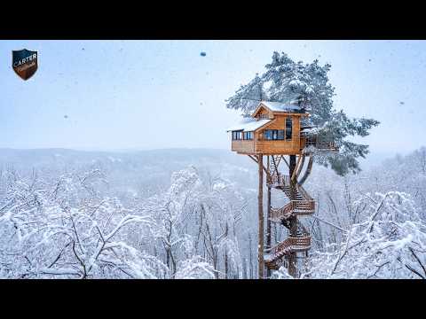 A Young Man Builds An Unbelievable Wooden House In A Tree – A One-Year Journe