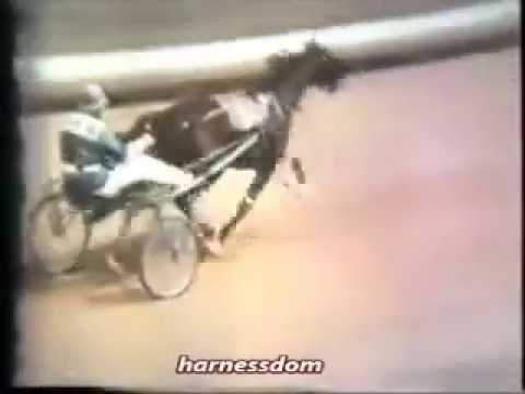 1969 DuQuoin State Fair LINDY'S PRIDE Hambletonian Howard Beissinger