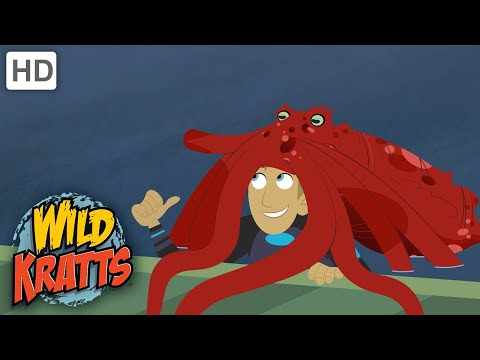 Wild Kratts | Octopus Wildkratticus | Full Episode | Season 1