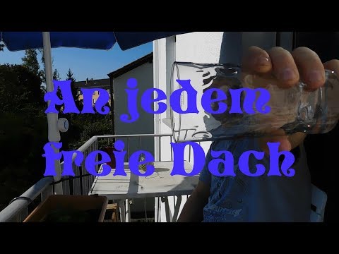 Mach die Robbe Parodie | Trink de Schobbe