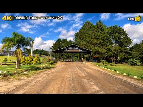 Dirigindo até a Fazenda Evaristo em Rio Negrinho/SC | 4K