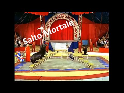 Salto Mortale Folge 4: Marseille  (verbesserte Bildqualität)