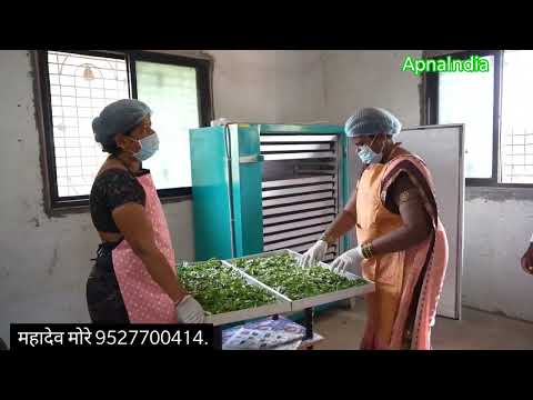 Moringa Leaves Dryer video thumbnail