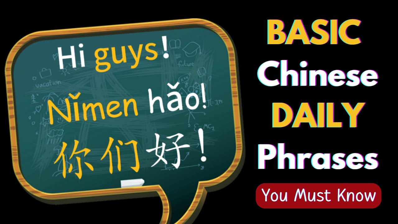 Learn Basic Chinese Phrases for Beginners in Chinese Daily Conversation Chinese Lessons