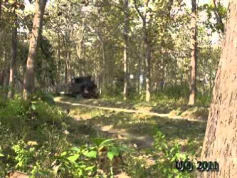 Indonesien   Waldbahn Cepu  14-08-2010