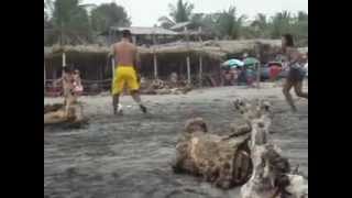 preview picture of video 'desaparece playa las puntillas en el salvador'
