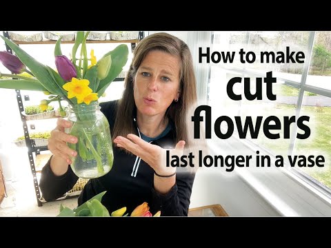 How to Make Cut Flowers Last Longer in a Vase: Our 5 Step Method