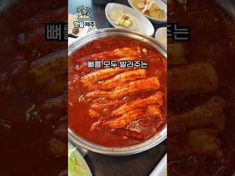 제주도 오셨는데 이건 드시고 가셔야죠 영상 썸네일