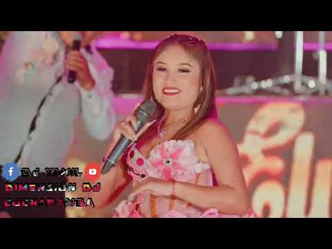 Elvia Abril Hay Niveles Remix DJ YAMIL 2025