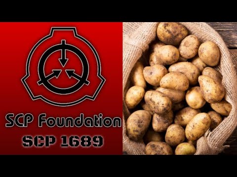 A Cat Reads || SCP Articles || SCP-1689 - Bag of Holding Potatoes