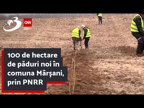100 de hectare de păduri noi în comuna Mârșani, prin PNRR