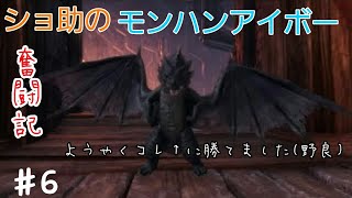 ショ助のモンスターハンターワールドアイスボーン奮闘記♯6