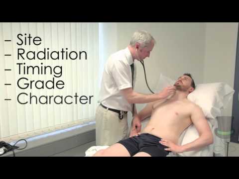 Cardiovascular examination