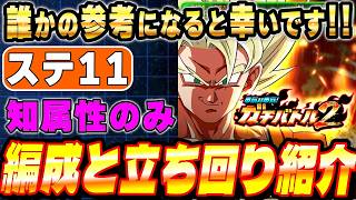 【ガチバトル2】ステージ11を知属性のみクリアで使った編成と立ち回りを紹介（超サイヤ人孫悟空（ミニ）（DAIMA））│ドッカンバトル【ソニオTV】