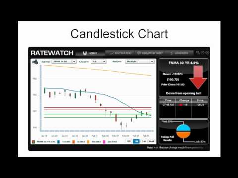 Daily Market Report February 16