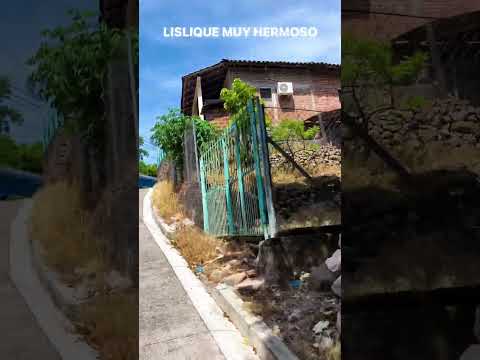 Muy hermoso Lislique la unión